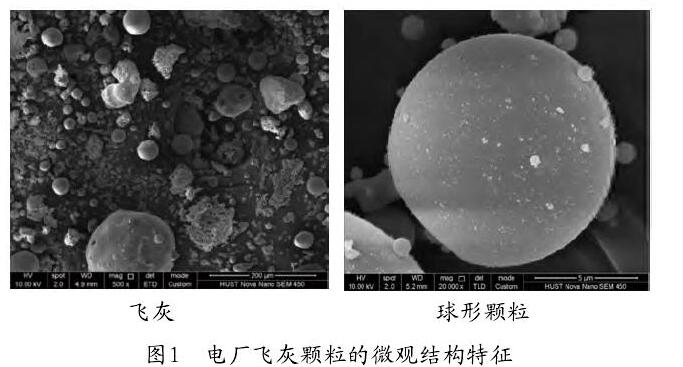 圖1　電廠飛灰顆粒的微觀結(jié)構(gòu)特征